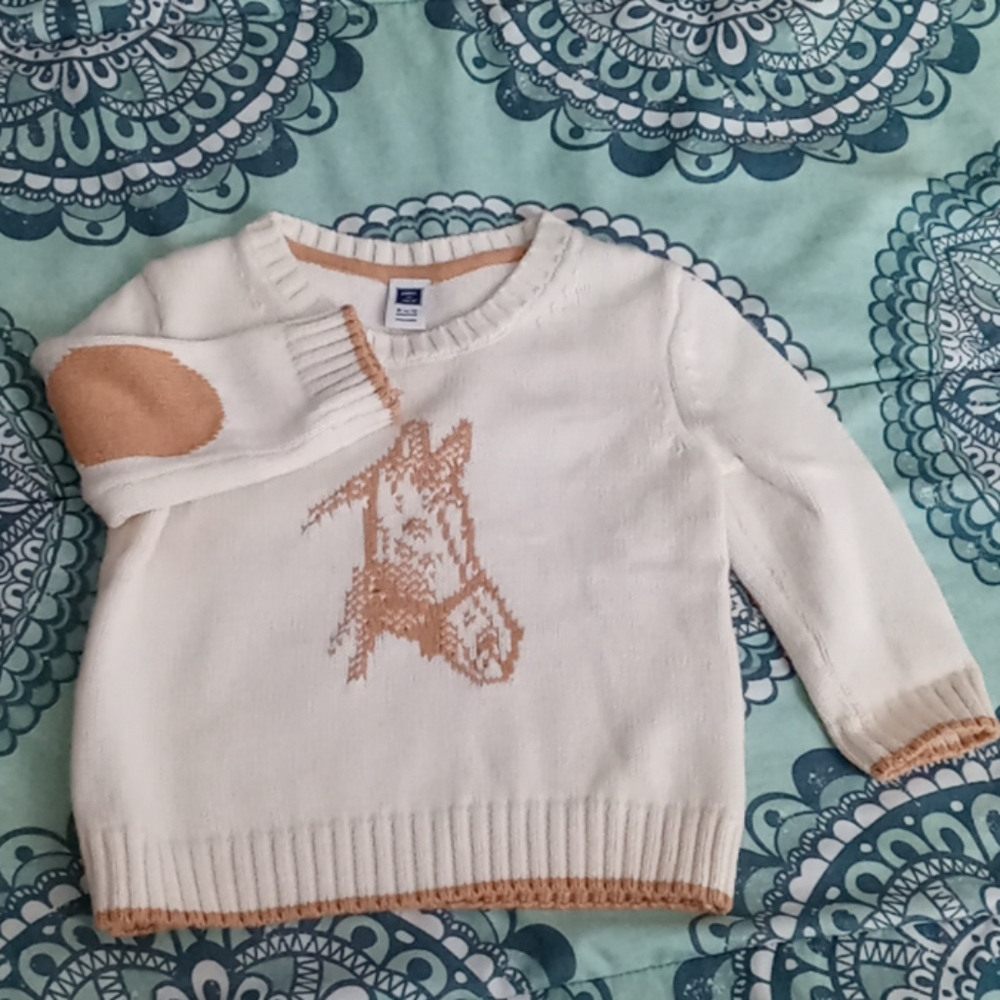 Janie and Jack sweater.